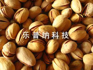 開心果
